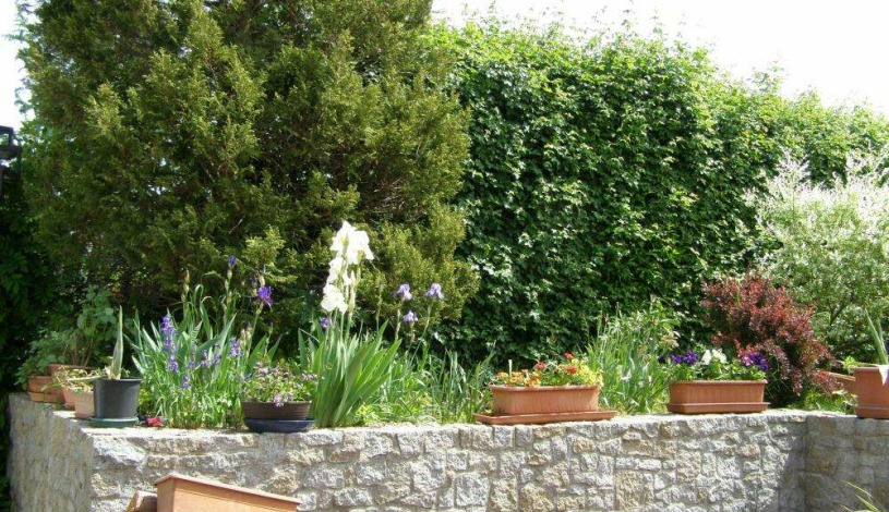 Penzion IGA Jindřichův Hradec